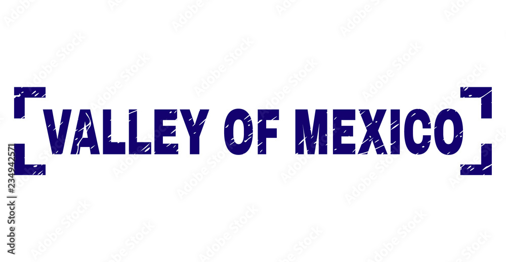 VALLEY OF MEXICO text seal watermark with grunge texture. Text tag is placed between corners. Blue vector rubber print of VALLEY OF MEXICO with grunge texture.