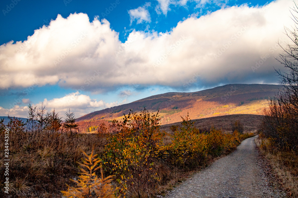 Obraz premium Landscape of autumnal peaks of the Carpathians.
