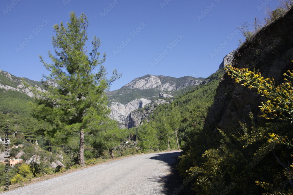 A road turning behind a hill with a tree and mountains and blue sky at a background