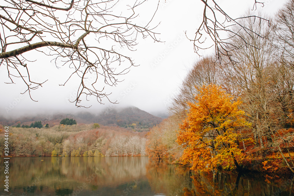 Autumn Landscape of lake and forest