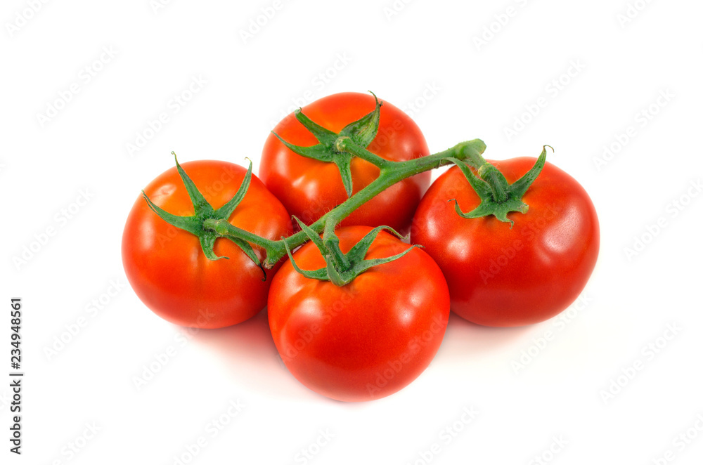 Beautiful red ripe tomatoes on a green branch. Fresh tomatoes isolated on white. Beautiful red ripe tomatoes on a green branch. Fresh tomatoes isolated on white.