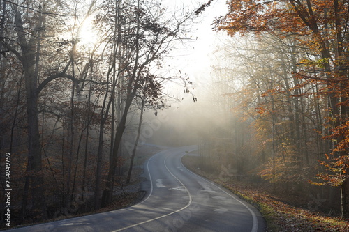 Fog