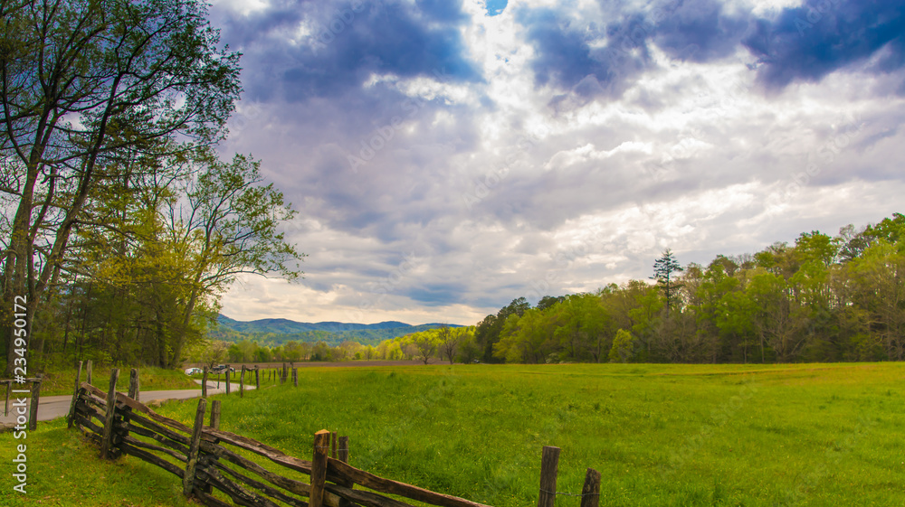 Cades Cove Meadow Cades Cove Meadow