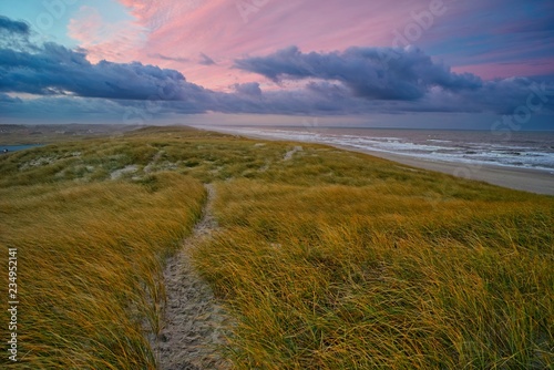 Morgengrauen - Dünenlandschaft an der dänischen Nordseeküste photo