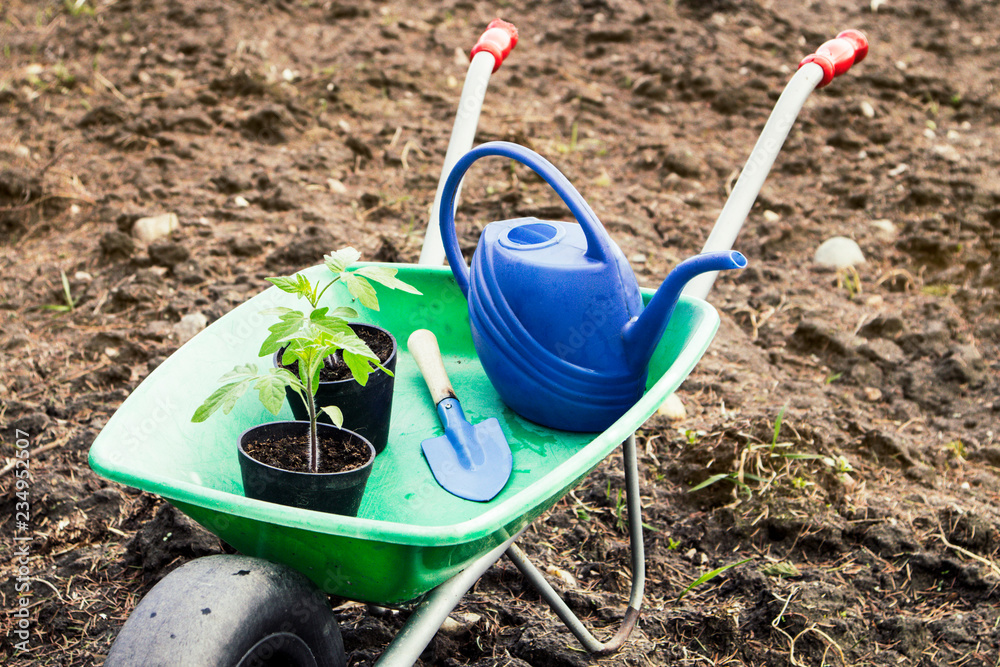 Wheelbarrow with Gardening tools on the field on black soil. Springtime in garden concept. Wheelbarrow with Gardening tools on the field on black soil. Springtime in garden concept.