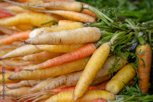 An Abundance of Carrots Piled up on a Market Stall