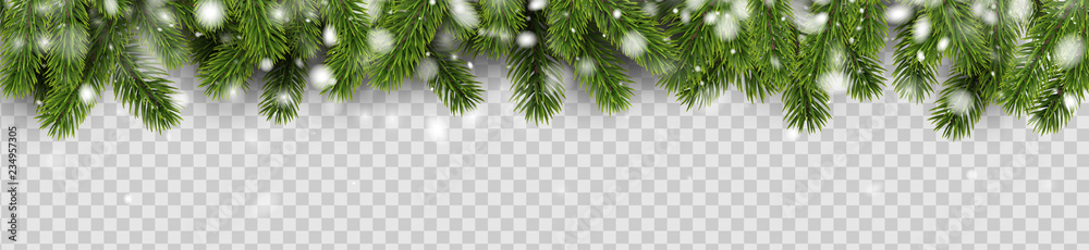 Banner with green fir branches and snow for winter, Christmas and New Year design. - obrazy, fototapety, plakaty 