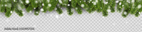 Banner with green fir branches and snow for winter, Christmas and New Year design.