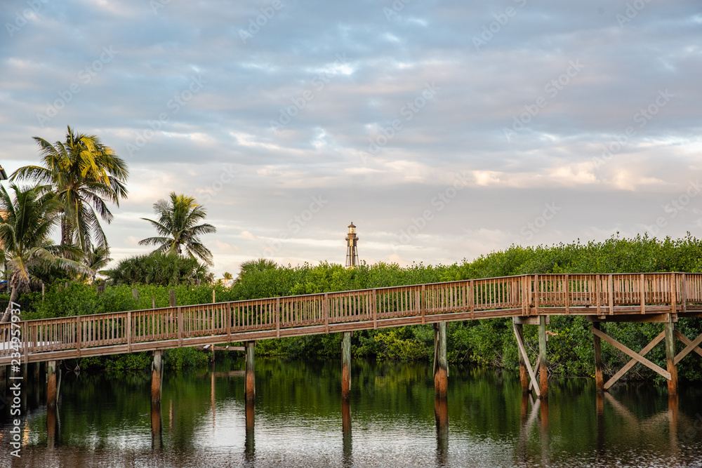 landscape with palm trees and blue sky, hillsboro inlet lighthouse behind a wooden bridge over a small pond