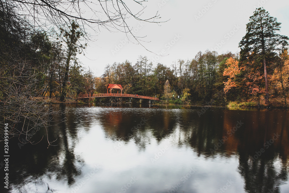 Fototapeta premium beautiful autumn landscape with lake