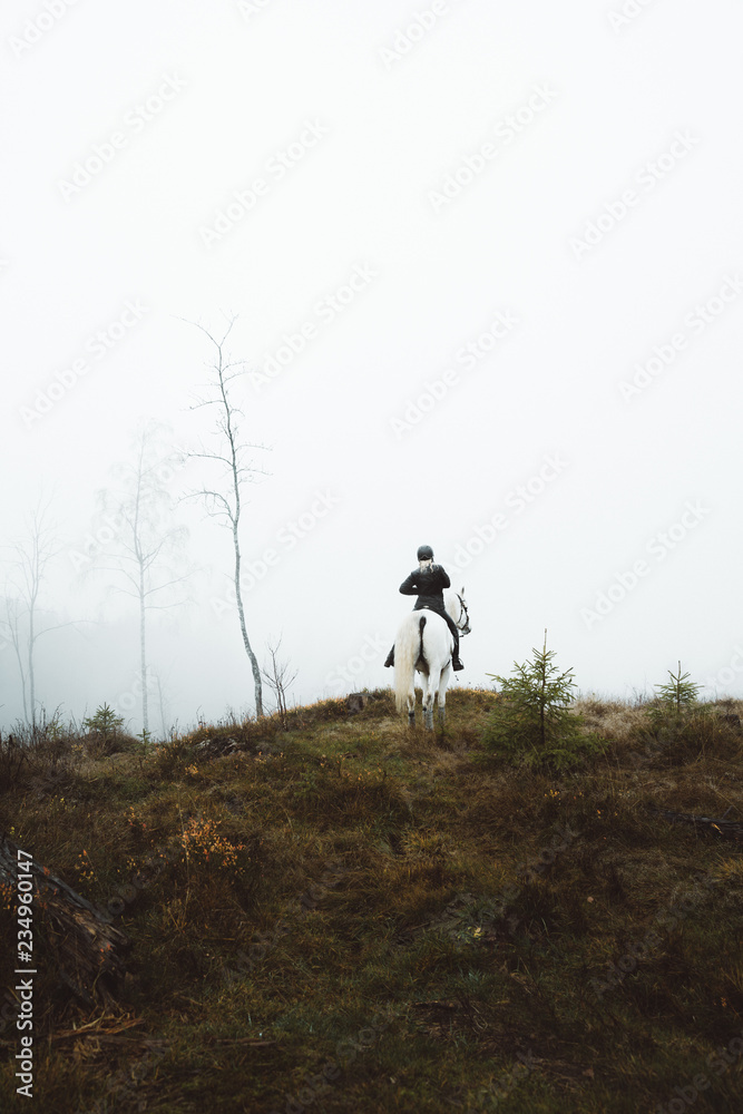 White horse in the moody forest