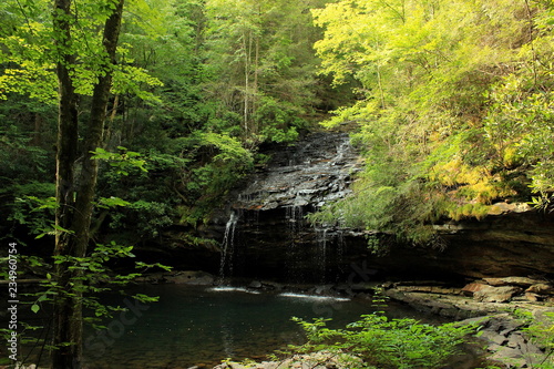 Waterfall in the forest