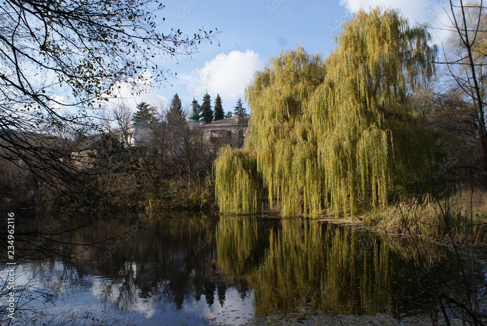Obraz premium Landscape with lake and nature