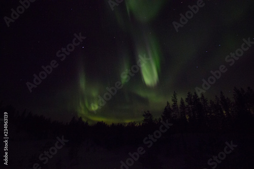 Northern lights in lappland © antti