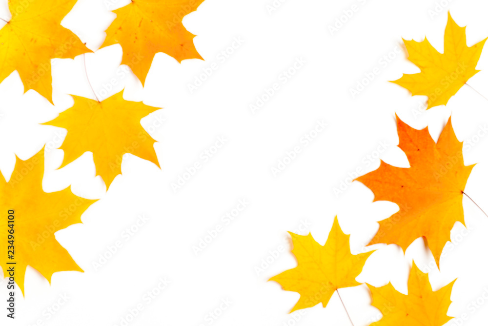 Autumn composition, maple leaves, top view, flat lay. Border made from color falling maple leaves Autumn composition, maple leaves, top view, flat lay. Border made from color falling maple leaves
