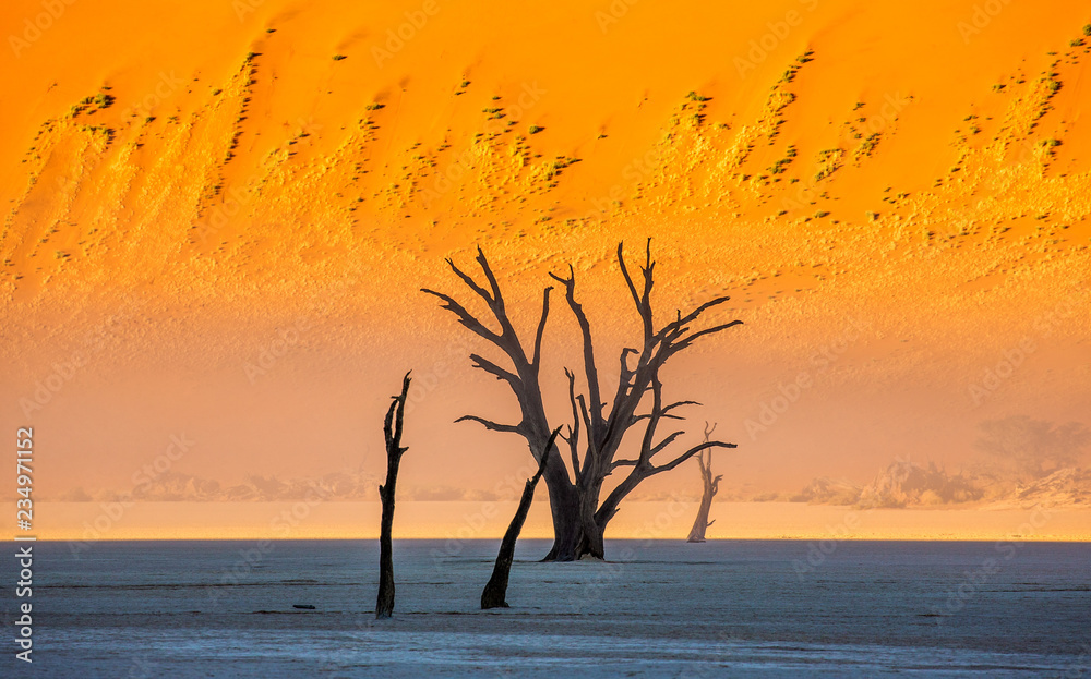 Dead acacia trees on the background of sand dunes and stripes of morning fog. Stunning light, color and shape. Landscapes of Namibia. Sossusvlei. Deadvlei. Dead acacia trees on the background of sand dunes and stripes of morning fog. Stunning light, color and shape. Landscapes of Namibia. Sossusvlei. Deadvlei.