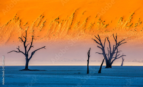 Dead acacia trees on the background of sand dunes and stripes of morning fog. Stunning light, color and shape. Landscapes of Namibia. Sossusvlei. Deadvlei. 