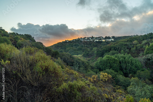 Houses on a Forested Hill in a Suburb, Belmont, California