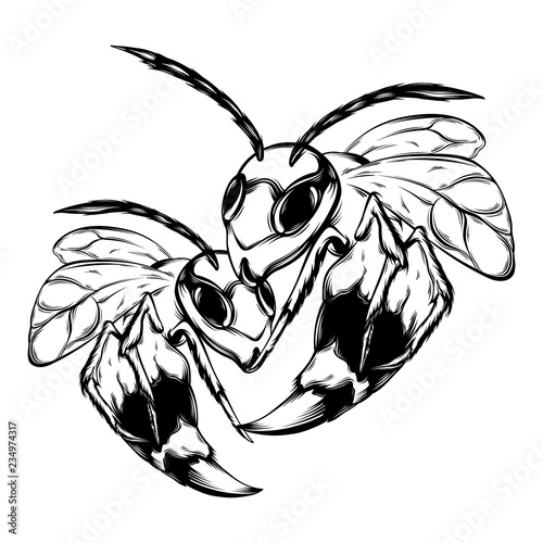 Vector hand drawn illustration of wasp.Tattoo artwork. Template for card, poster, banner, print for t-shirt, pin, badge and patch.