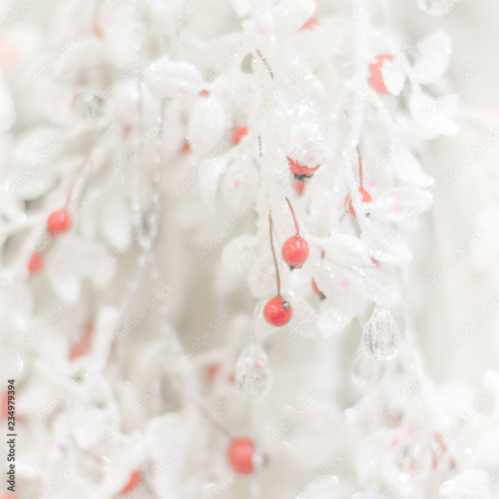 .Beautiful gentle white winter background with red berries. .Beautiful gentle white winter background with red berries.