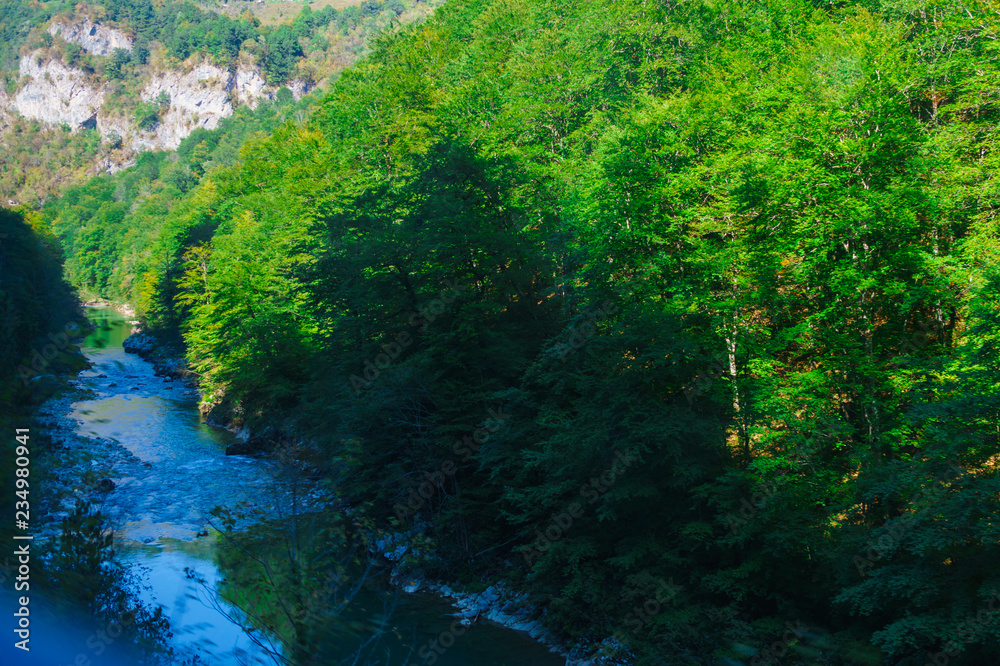 the gorge of the river Tara in Montenegro surrounded by picturesque mountains.Europe the gorge of the river Tara in Montenegro surrounded by picturesque mountains.Europe