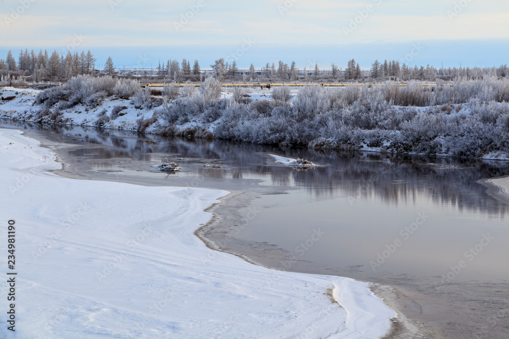 Beautiful winter landscape, frost on the branches of trees, the first snow, Beautiful winter landscape, frost on the branches of trees, the first snow,