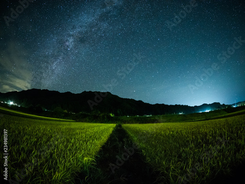 田んぼと星空