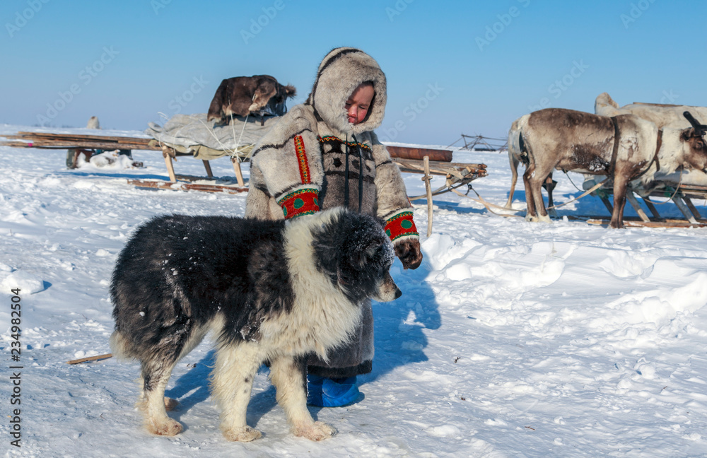 Naklejka premium tundra, open area, the boy with a dog in cold winter weather, the boy in national clothes,