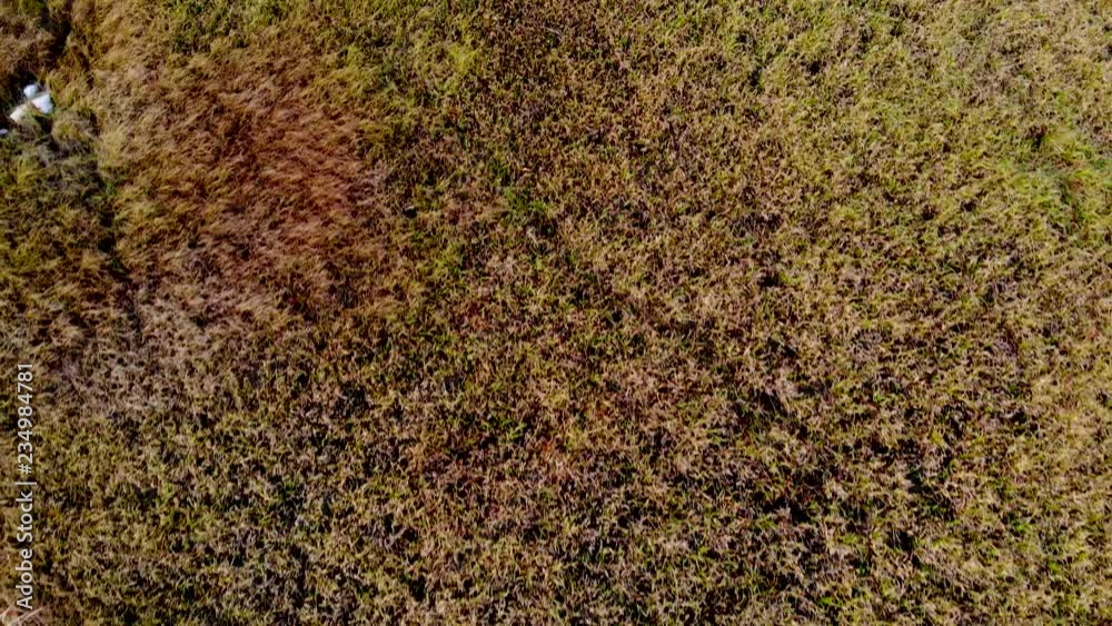 Top view on the wetlands swamp. Top view on the wetlands swamp.