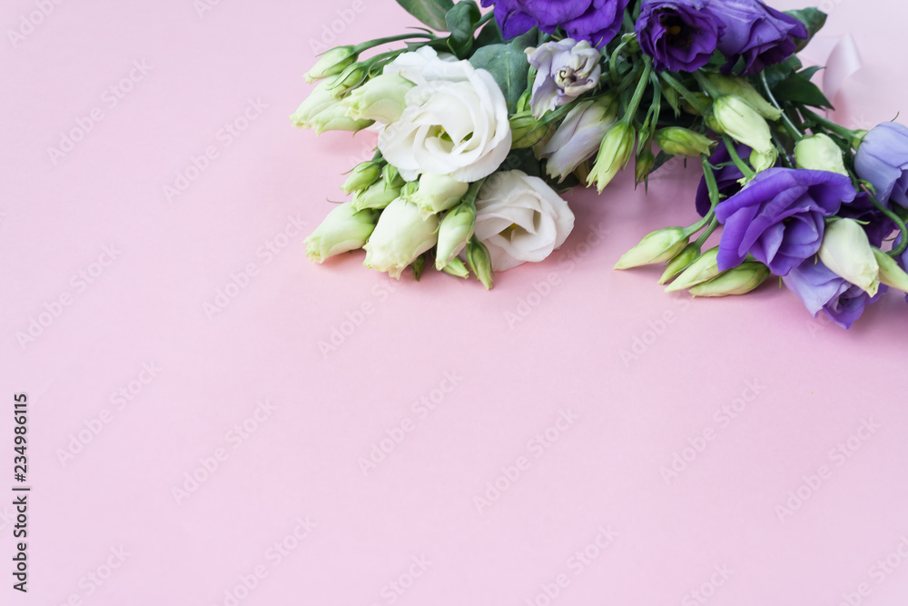 Frame of purple white Lisianthus on pink background.
