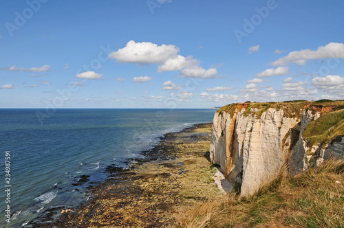 Le scogliere e le spiagge di Etretat - Normandia, Francia photo