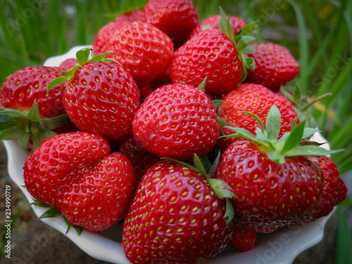 Close-up of ripe and sweet strawberry. Many berries lie on a white plate. Natural sunlight.
