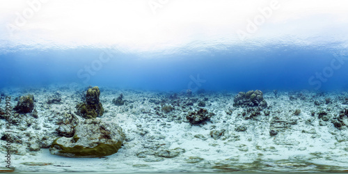 Fototapeta Naklejka Na Ścianę i Meble -  Dead coral reef