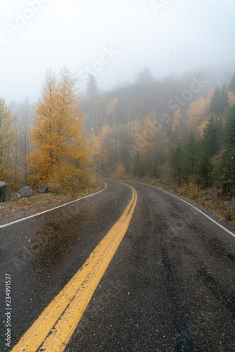 The yellow center line of a paved road curves through mountains lined with yellow aspen trees on a snowy fall day in Colorado