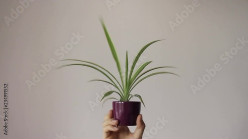 and showing a pot with a plant.  Funny symbol of finding the solution.