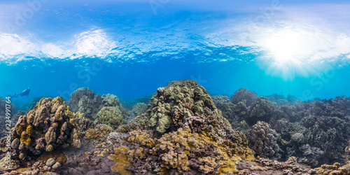 Photography 360 of diver on coral reef