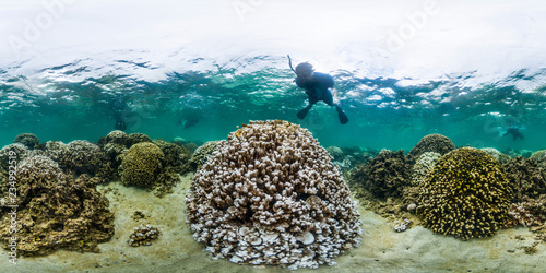 360 of coral bleaching on reef