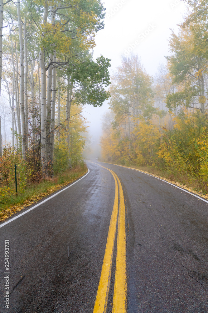 The yellow center line of a paved road curves through mountains lined with yellow aspen trees on a snowy fall day in Colorado The yellow center line of a paved road curves through mountains lined with yellow aspen trees on a snowy fall day in Colorado