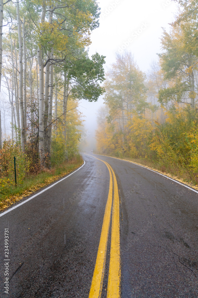 The yellow center line of a paved road curves through mountains lined with yellow aspen trees on a snowy fall day in Colorado