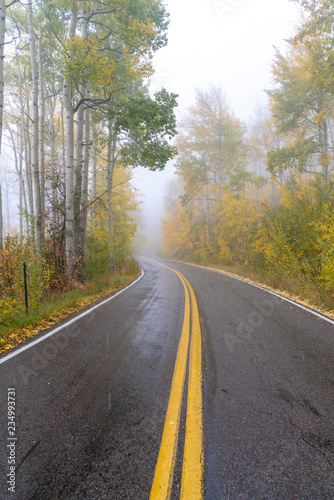 The yellow center line of a paved road curves through mountains lined with yellow aspen trees on a snowy fall day in Colorado