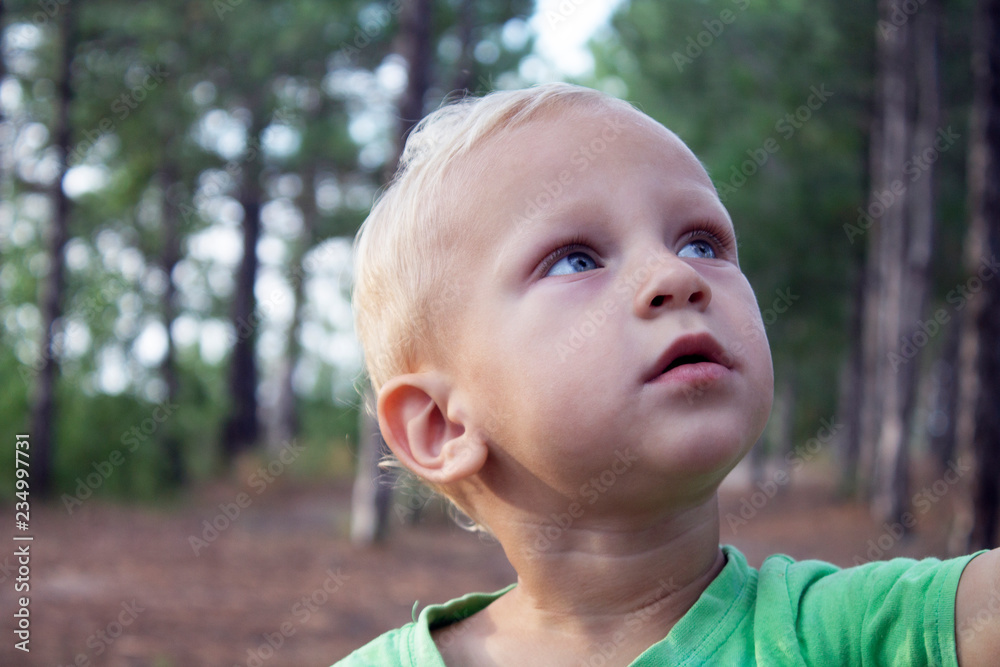 beautiful baby in the coniferous forest beautiful baby in the coniferous forest