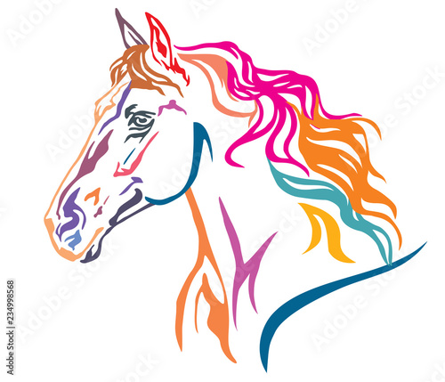 Colorful decorative portrait of horse vector illustration 7