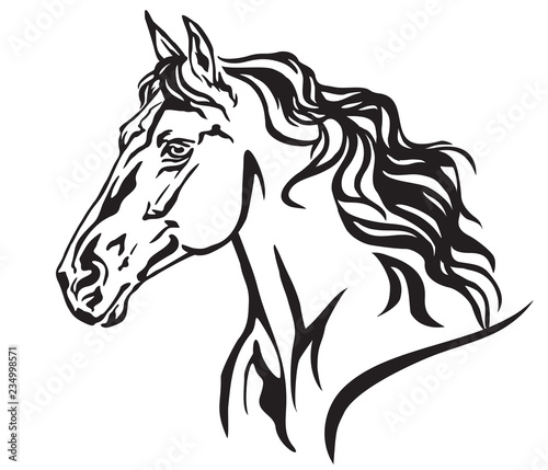 Decorative portrait of horse vector illustration 8