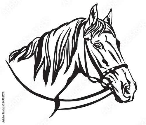 Decorative portrait of horse vector illustration 7