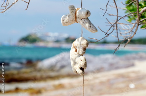 hanging on a rope coral on a blurred background of warm blue Bay