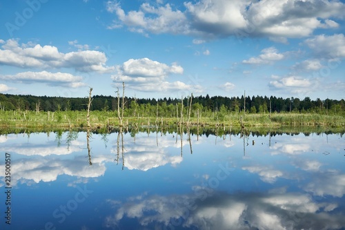 View over the Regenmoor marshland and Neckar origin Schwenninger Moos, Villingen-Schwenningen, Schwarzwald-Baarkreis, Baden-Wurttemberg, Germany, Europe photo