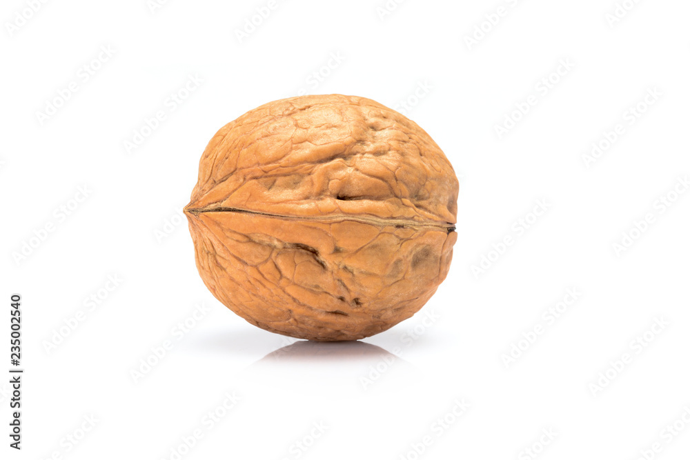 Whole walnut, close up macro, isolated on a white background. Whole walnut, close up macro, isolated on a white background.