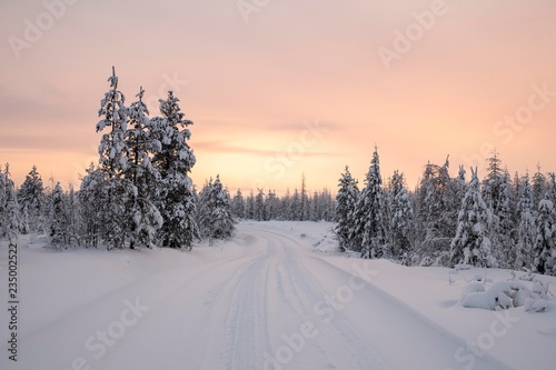 Road through snowy trees, winter landscape, dawn, Riisitunturi National Park, Posio, Lapland, Finland, Europe photo