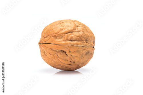 Whole walnut, close up macro, isolated on a white background.