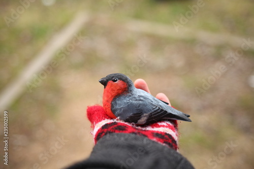 wooden bullfinch in the hand © Jane